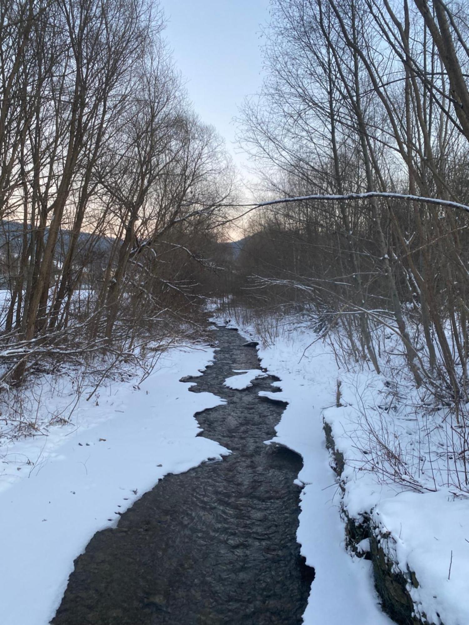 Dom Goscinny Jawor Krynica-Zdrój Esterno foto